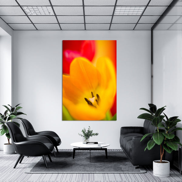 Angstfrei und Losgelassen - Tulpen rot orange 0067